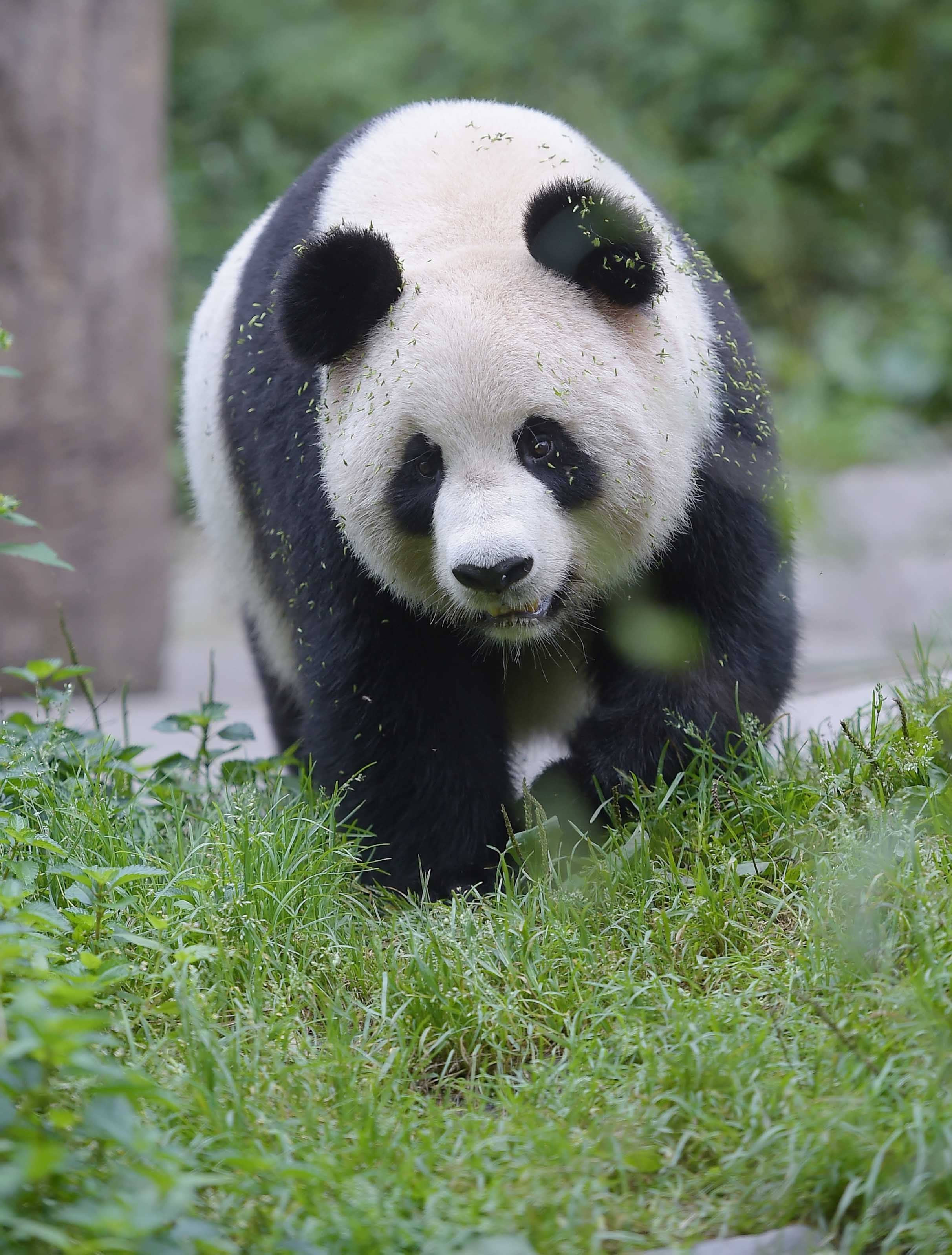 附件图片